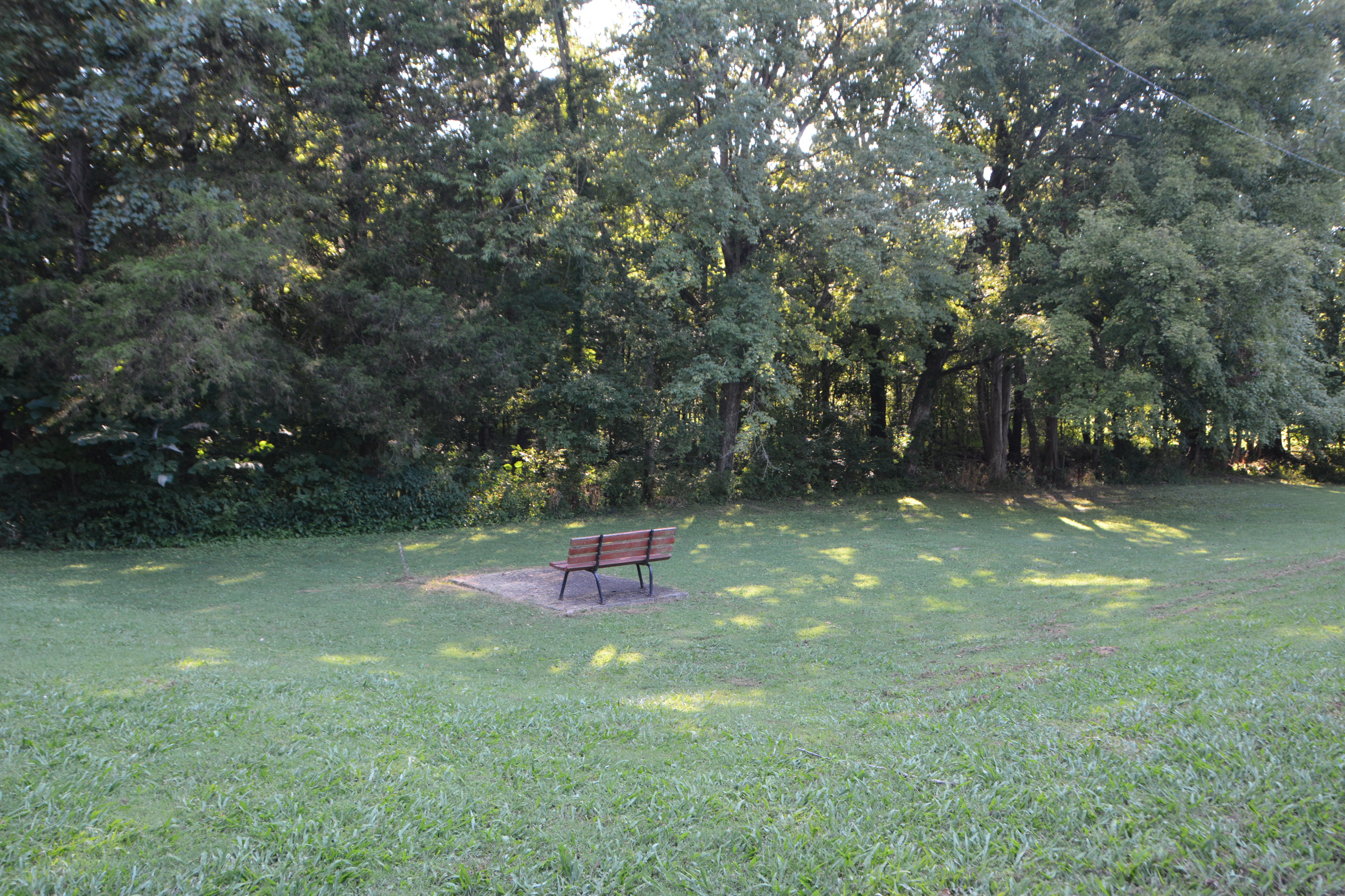 a park bench in the middle of a grass field